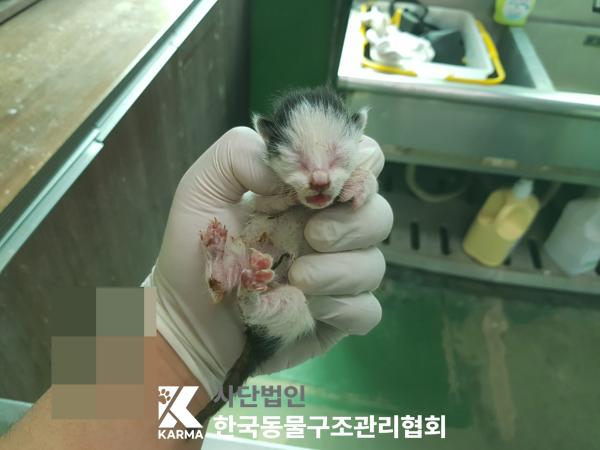 종료(자연사) 한국…